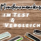 mundharmonikas im test vergleich