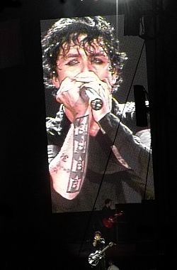 Billie Joe Armstrong Green Day Mundharmonika