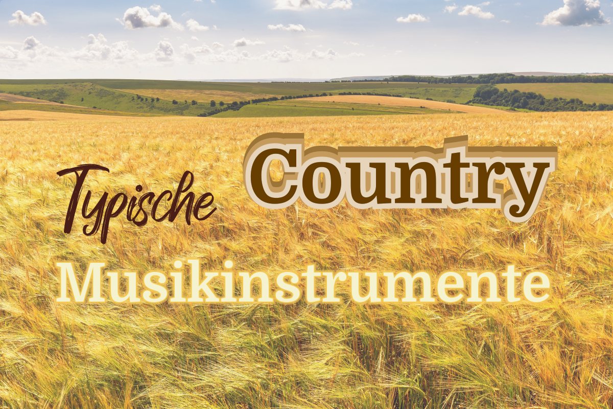 typische musikinstrumente country kornfeld