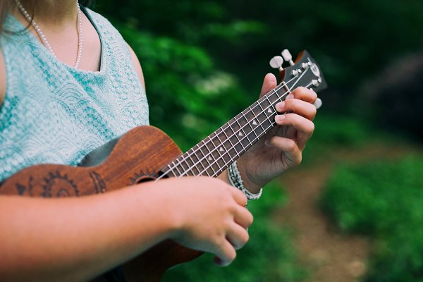 Ukulele Natur Musik Welt Reise