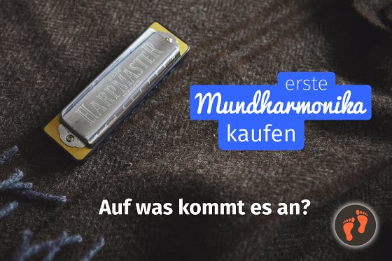Mundharmonika Anfänger