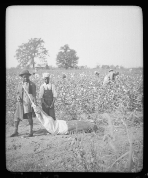 Jugendliche auf Baumwoll-Plantage, 1940 Jugendliche auf Baumwoll-Plantage