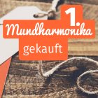 mundharmonika erste gekauft wie gehts weiter anfaenger