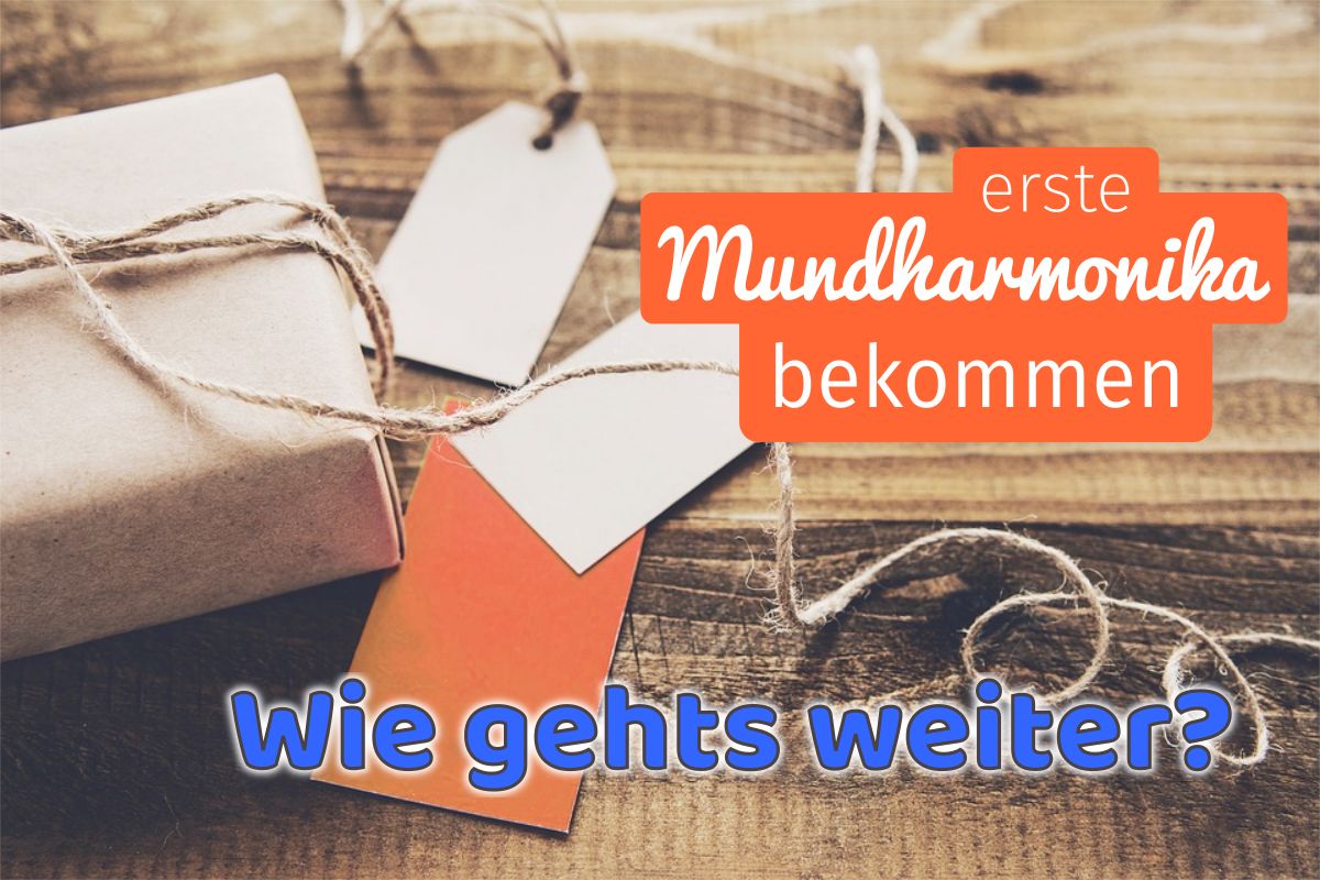 mundharmonika erste gekauft wie gehts weiter anfaenger