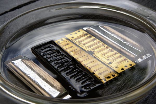 Mundharmonika Deckel Stimmplatten und Kamm in Wasserbad