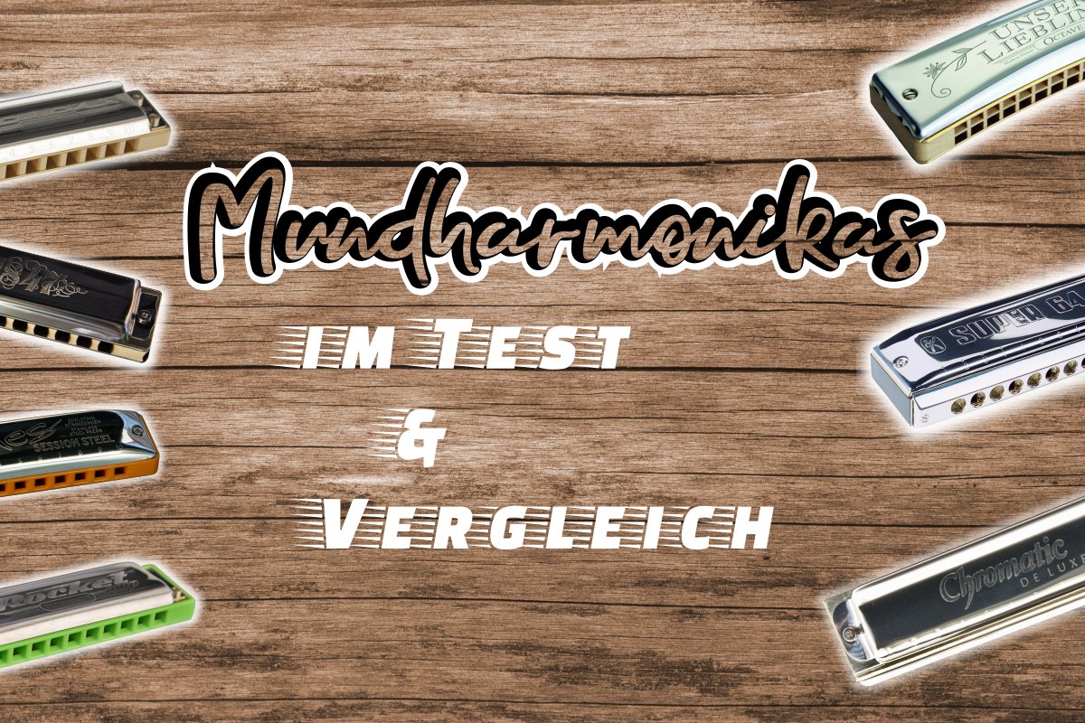 mundharmonikas im test vergleich