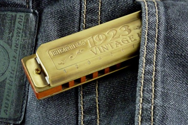 Mundharmonika, Blues Harp