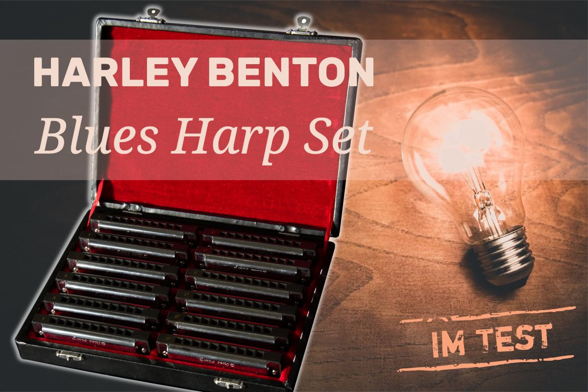 mundharmonika blues harp set test harley benton