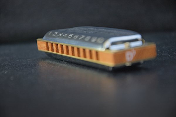 Details Kanzellen und Deckelplatte Hohner Blues Harp MS