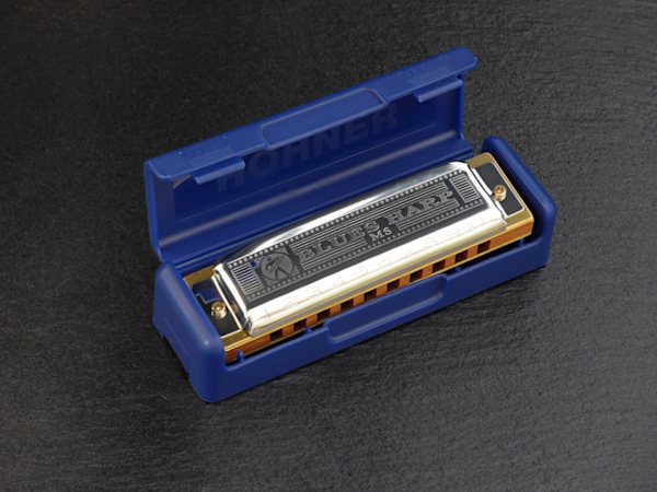 Hohner Blues Harp MS in Kunststoff Transport Etui