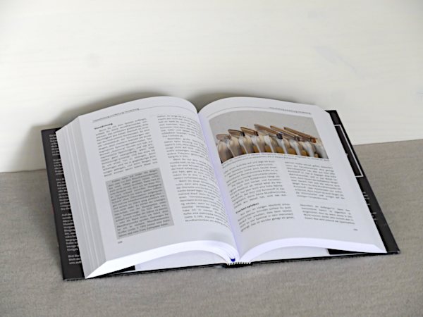 Blick ins Buch: Das Mundharmonika-Buch Klaus Rohwer