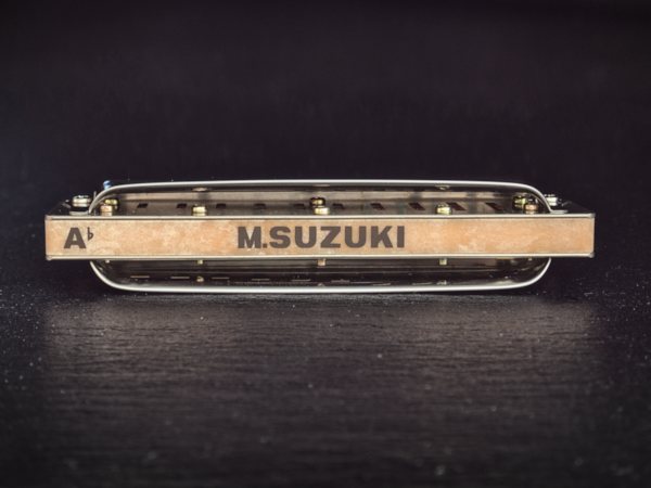 Suzuki Manji M 20 Rückansicht